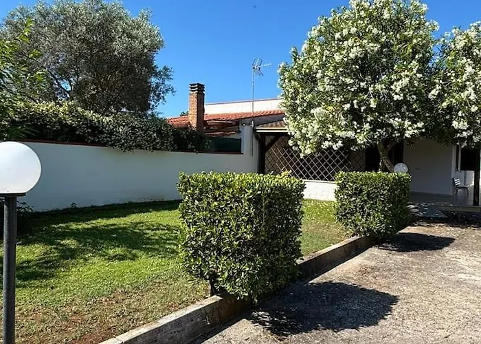 Villa Indipendente "Coco' " 50Mt Dal Mare Senza Attraversamenti, Posizionata Tra San Felice Circeo E Terracina,Ponza-Palmarola Fronte Spiaggia 22Miglia