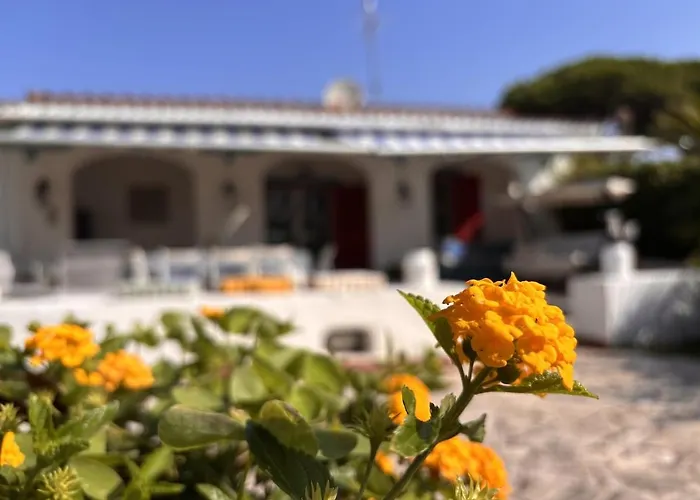 Villa Sofia